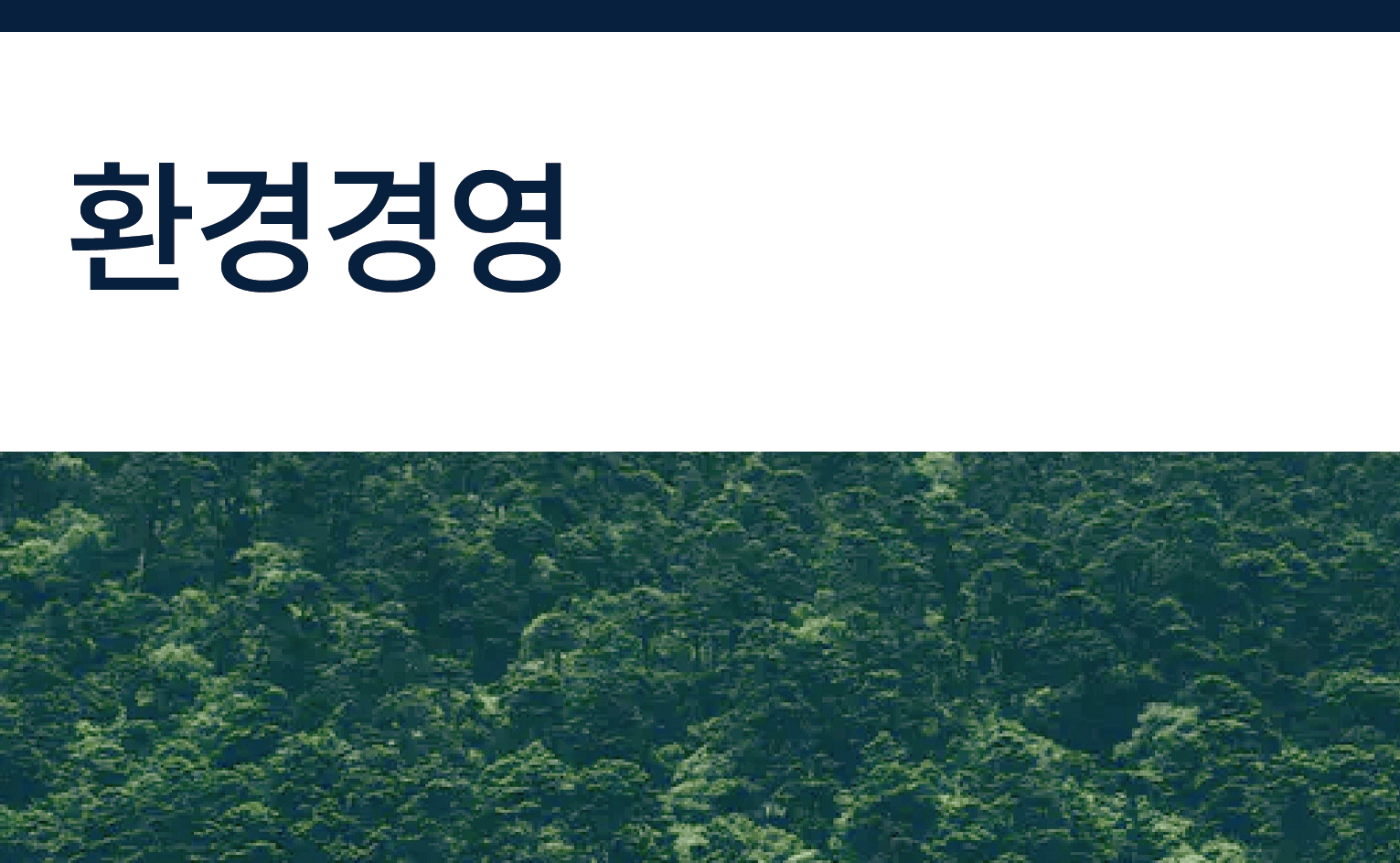 [ESG][환경경영] 환경경영 목표 및 조직구성